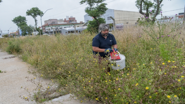 MGP - Desratizacion espacios urbanos 1