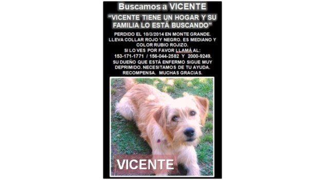 Buscamos a Vicente