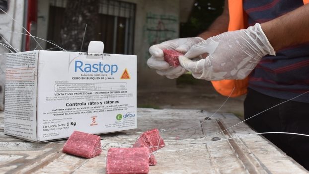 EE EL MUNICIPIO CONTINÚA CON TRABAJOS DE FUMIGACIÓN Y DESRATIZACIÓN 2