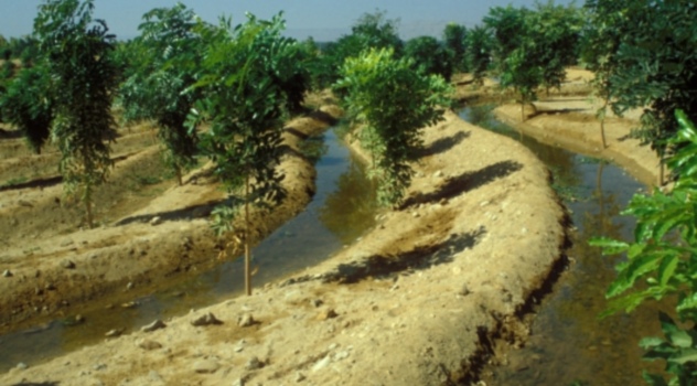 FAO los bosques y el agua