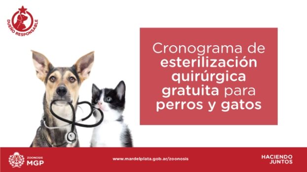 MGP Campaña de castracion de mascotas