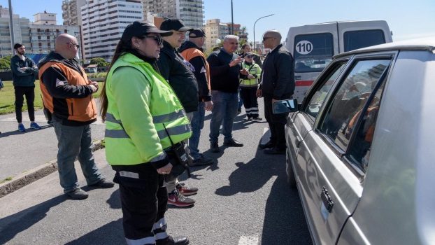 MGP - Controles Dia de la Primavera (3)