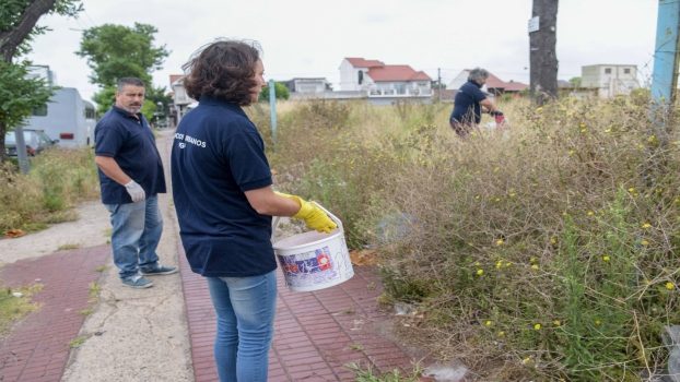 MGP - Desratizacion espacios urbanos 2