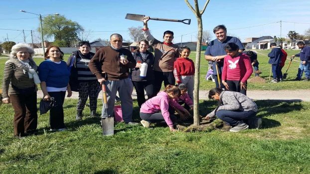 MGP - Nuevos árboles para la Plaza del barrio Autódromo