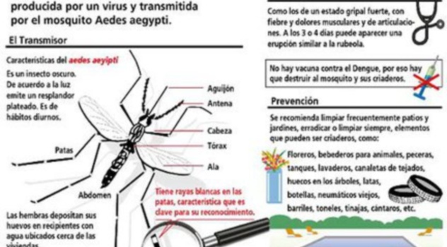 ab dengue