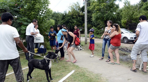 ab sanidad animal (1)