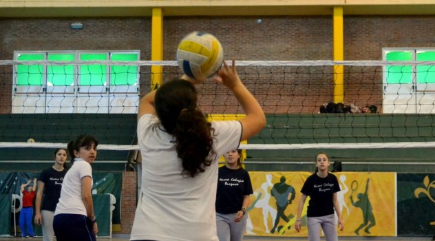 ab voley pregesell1