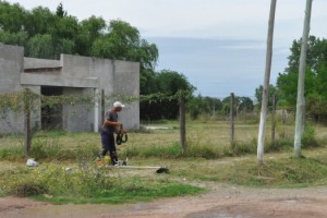 canu-Corte de pasto 1-14