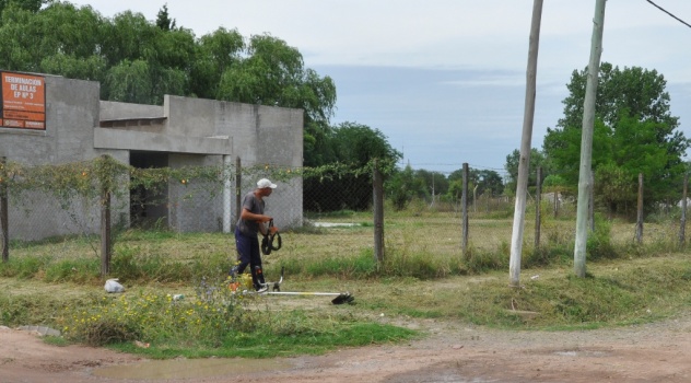 canu-Corte de pasto 1-14