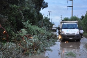 canu-tormenta 5