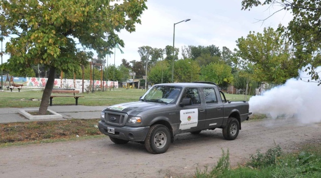 ee Plaza El Fortin, fumigación