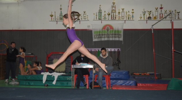 ee gimnasia artist (1)