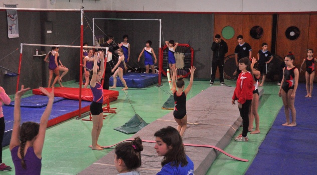 ee  prueba de gim artistica 15-9