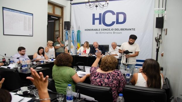 hcdsesion2020dos