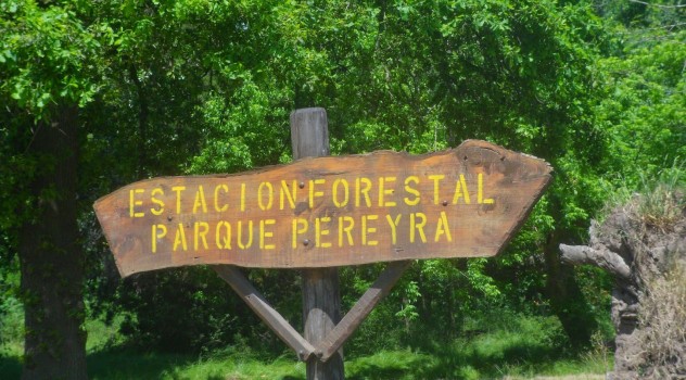 lob estacion forestal